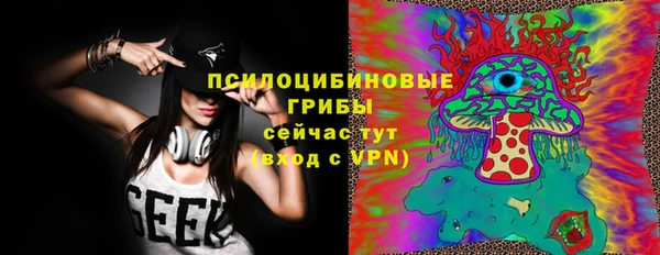 не бодяженный Гусь-Хрустальный